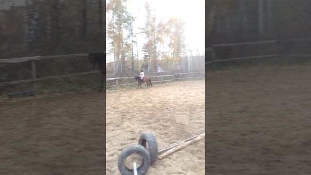 кавалетти окт 2015 смотреть онлайн