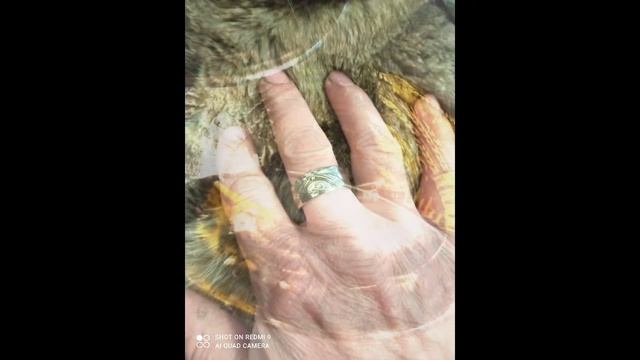 кольцо из монеты..... Рождённым в СССР смотреть онлайн