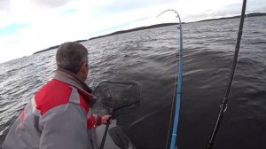 КРУТАЯ РЫБАЛКА (Сегозеро, сентябрь 2022)