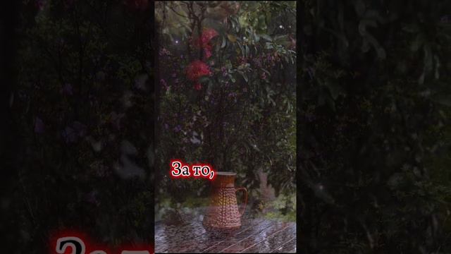 Благословенной недели! Христианское пожелание! смотреть онлайн
