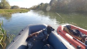 Последний сплав сезона 2022 года на моторной лодке ПВХ по рекам Пьяна и Сура