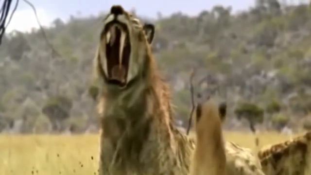 5 НЕВЕРОЯТНЫХ ВЫМЕРШИХ ЧУДОВИЩ смотреть онлайн