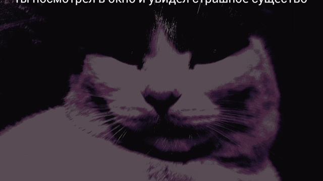(страшные лица моего кота меняются.) смотреть онлайн