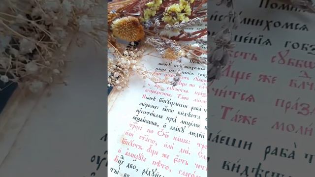 Сретение Господне! смотреть онлайн