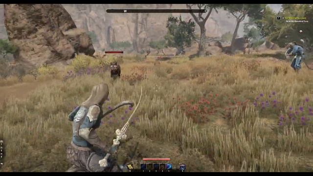 Elder Scrolls Online Elsweyr Khajiit Dual Wield Companion in Action смотреть онлайн