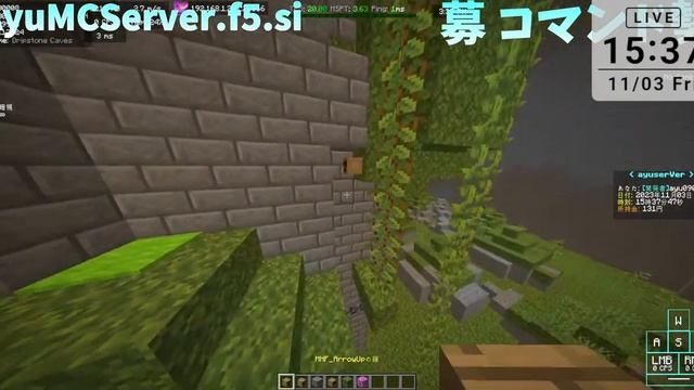 【Minecraft】 MMORPGみたいなやつを作る 【Java版-参加型】 смотреть онлайн