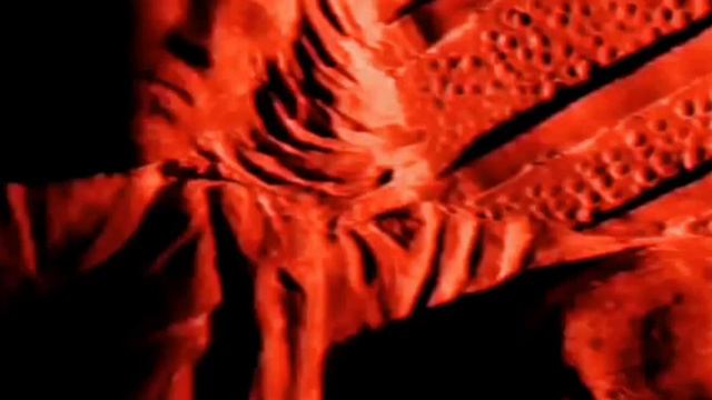 Буктрейлер "Иллюзион. Квест на превосходство" смотреть онлайн