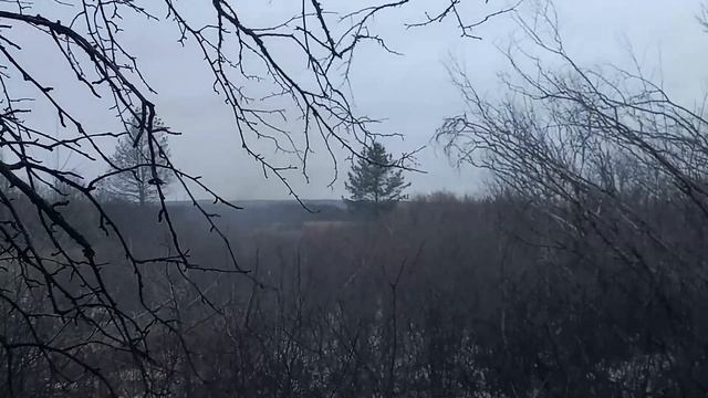 Боевая работа расчета ПТРК Корнет ЗВО в зоне СВО смотреть онлайн