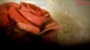 Презентация к 8 марта