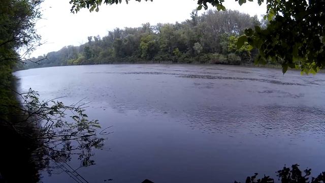 Со спиннингом по Пслу. Окунь. Щука смотреть онлайн