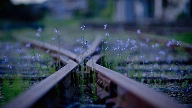 Razmik Amyan - Spasvats Ser ...