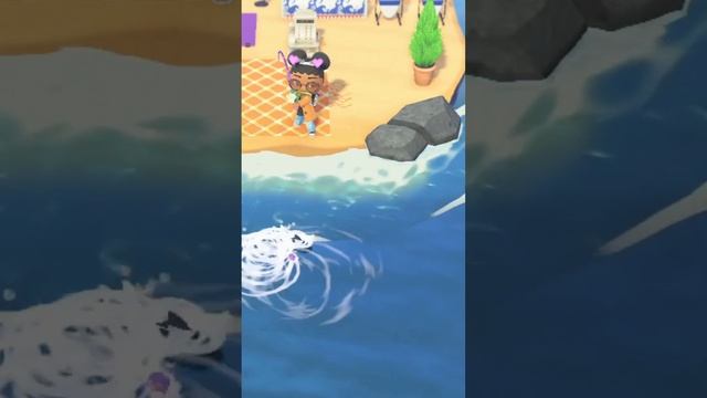 Wow. Catching a Ocean Sunfish Animal Crossing #shorts #animalcrossing #fishing смотреть онлайн