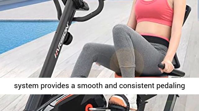 HARISON Magnetic Recumbent Exercise Bike Stationary Seniors 350 LBS Capacity 14 Level Resistance