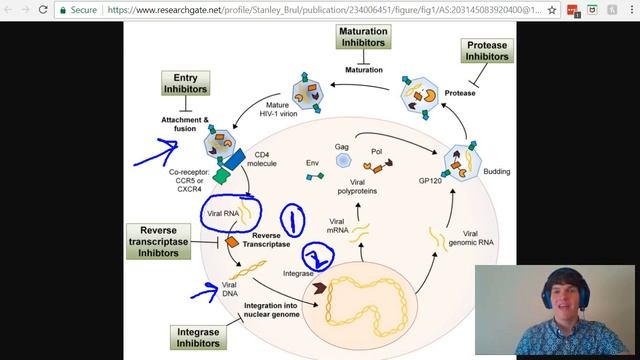 MCAT Question of the Day: Retroviruses смотреть онлайн
