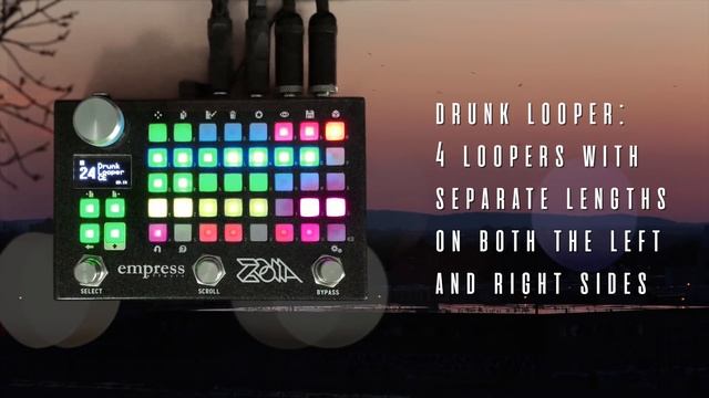 The Empress ZOIA Is For Guitar Too (Stereo Demo) смотреть онлайн