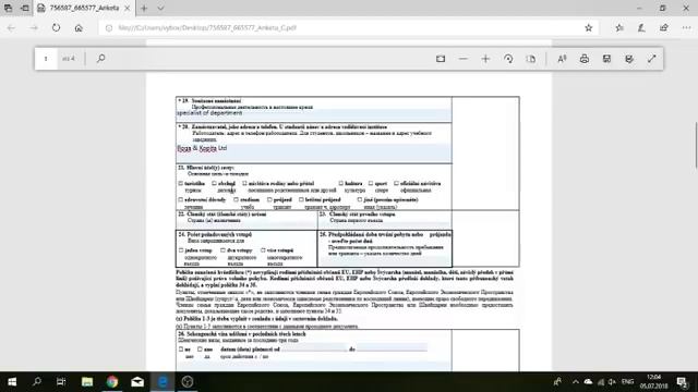 Как заполнить заявление на шенгенскую визу смотреть онлайн