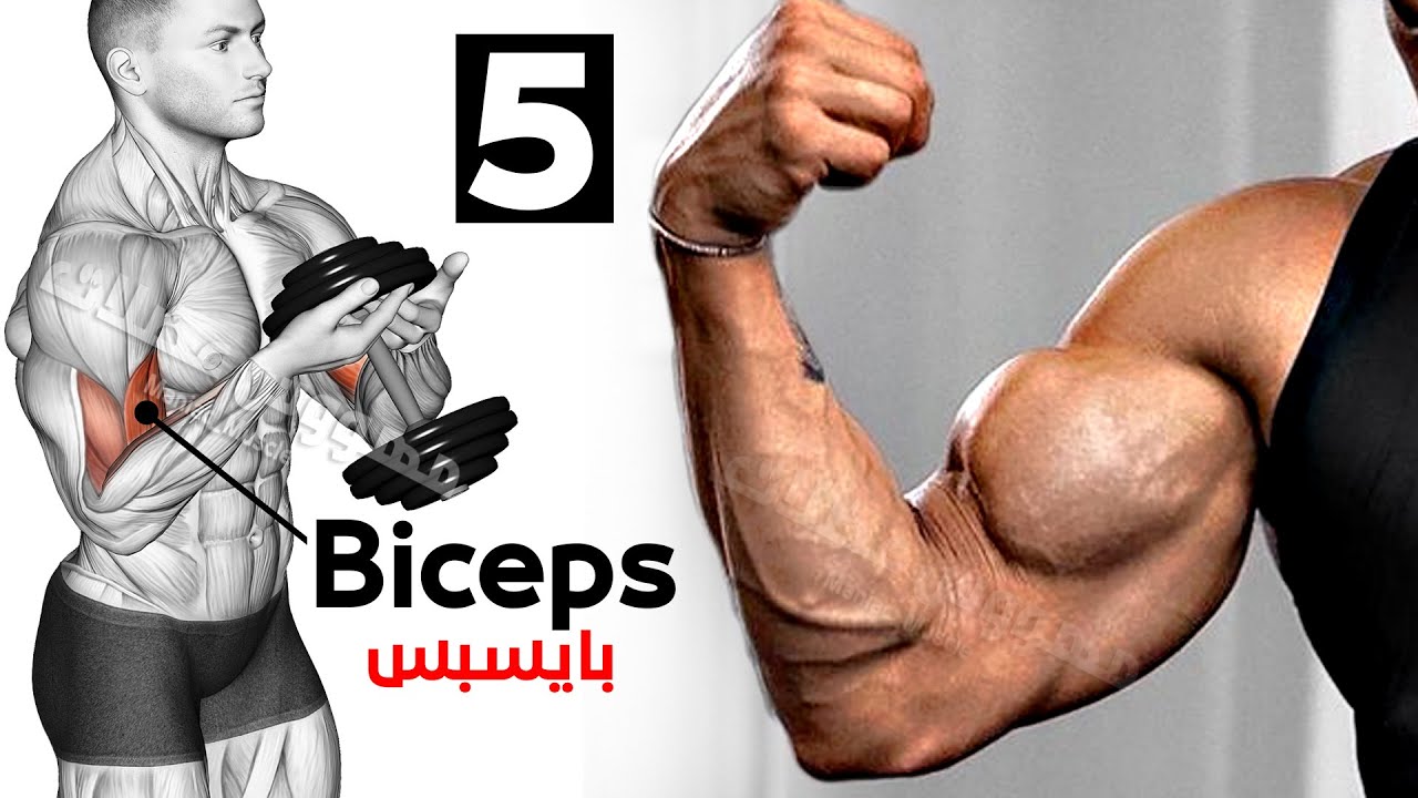? Как быстро накачать бицепс (5 эффективных тренировок) смотреть онлайн