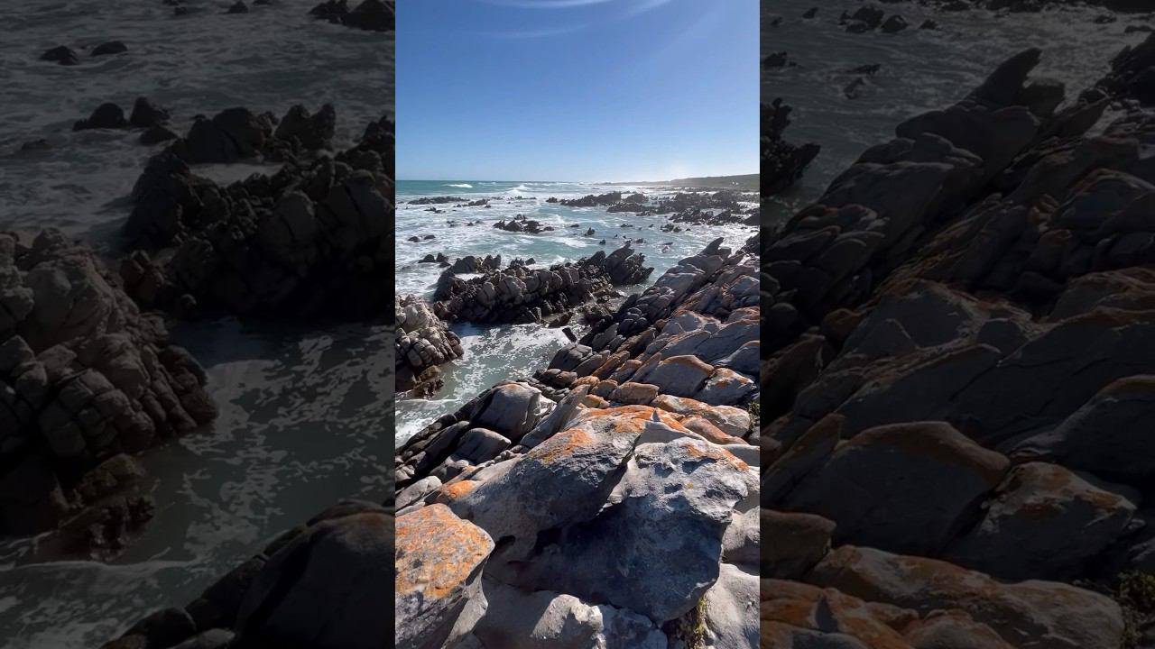 Край Африки #африка #afrika #путешествие #travel #southafrica #океан #киты #ocean #whale смотреть онлайн