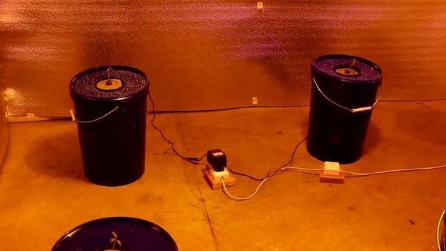 Аэропоника своими руками смотреть онлайн