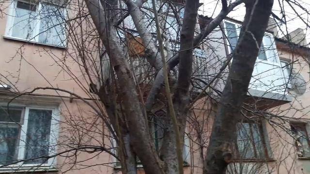 Удлиняем балкон смотреть онлайн