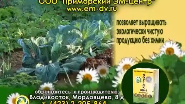 Восток ЭМ 1 смотреть онлайн