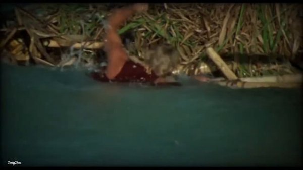 The Blue Lagoon  -  1980  -  [Laguna Mix]