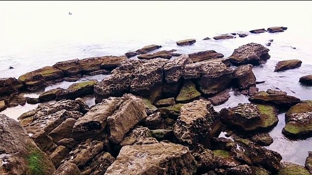 Прогулка по набережной, океан отступил🌊 смотреть онлайн