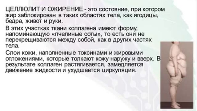 Программа снижения веса. Похудение с помощью приборов Биомедис Доктор Малютина И В смотреть онлайн