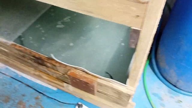 форель в УЗВ в одном помещении с раками смотреть онлайн