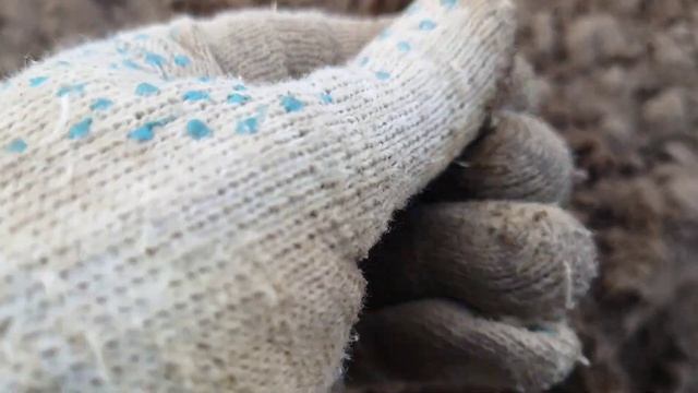 DEUS 2 + WS6. Собираем то, что не видят другие металлодетекторы. #xpdeus2 #коп2022