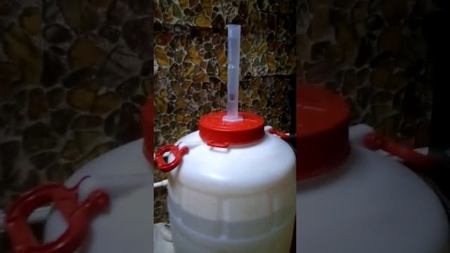 тема"большая слива",часть 2 смотреть онлайн