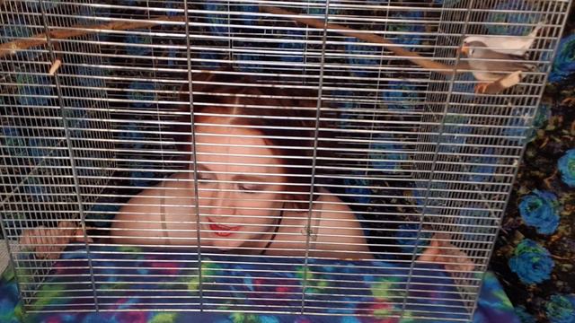 Единственное единство сумбурное смотреть онлайн