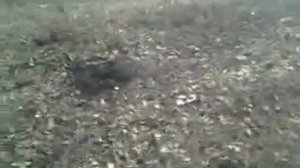 вся правда о городе Енакиево