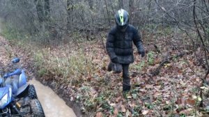 Bashan 300