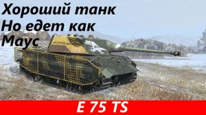 Обзор E 75 TS Троюродный брат льва | Tanks Blitz