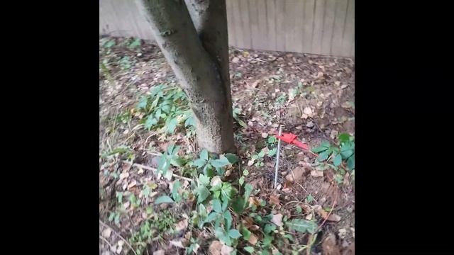 Замер сопротивления заземления в доме смотреть онлайн