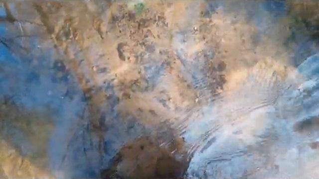 Как разобрать бобровую плотину смотреть онлайн