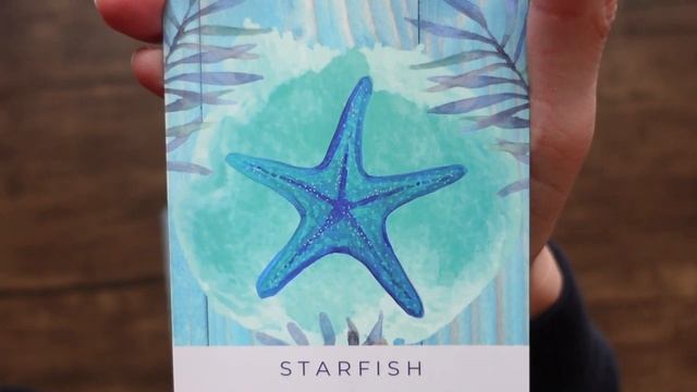 What to Expect in the Week Ahead | Timeless Oracle Card Reading смотреть онлайн
