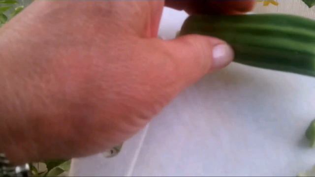 Бамия. Прописываем в огороды смотреть онлайн