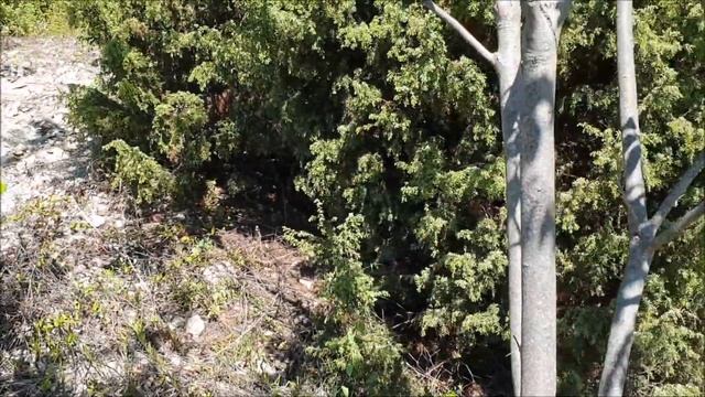 Дом в Абрау-Дюрсо. Начало строительства смотреть онлайн