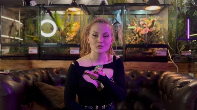 Токсичными бывают не только комментарии/Лягушки, жабы и их секреты. Разбор с @AgamaMama смотреть онлайн