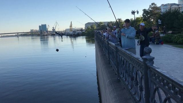 Игорь Бабушкин поймал самую большую в Астрахани рыбу