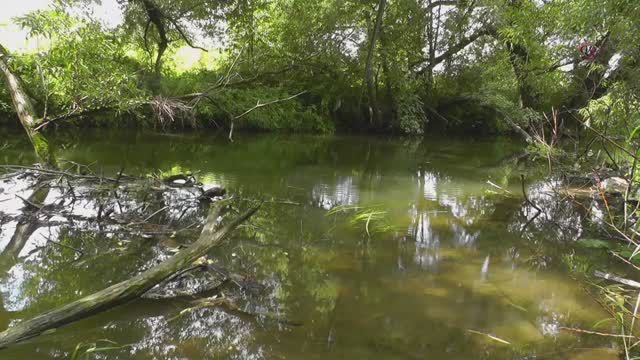 2. ПОДВОДНАЯ СЪЁМКА поклёвок на поплавок. речка Рожайка. Underwater. Fishing Рыбалка- как вижу её Я смотреть онлайн