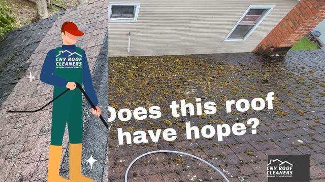 Moss Growing On Roof, Can it be Removed? смотреть онлайн
