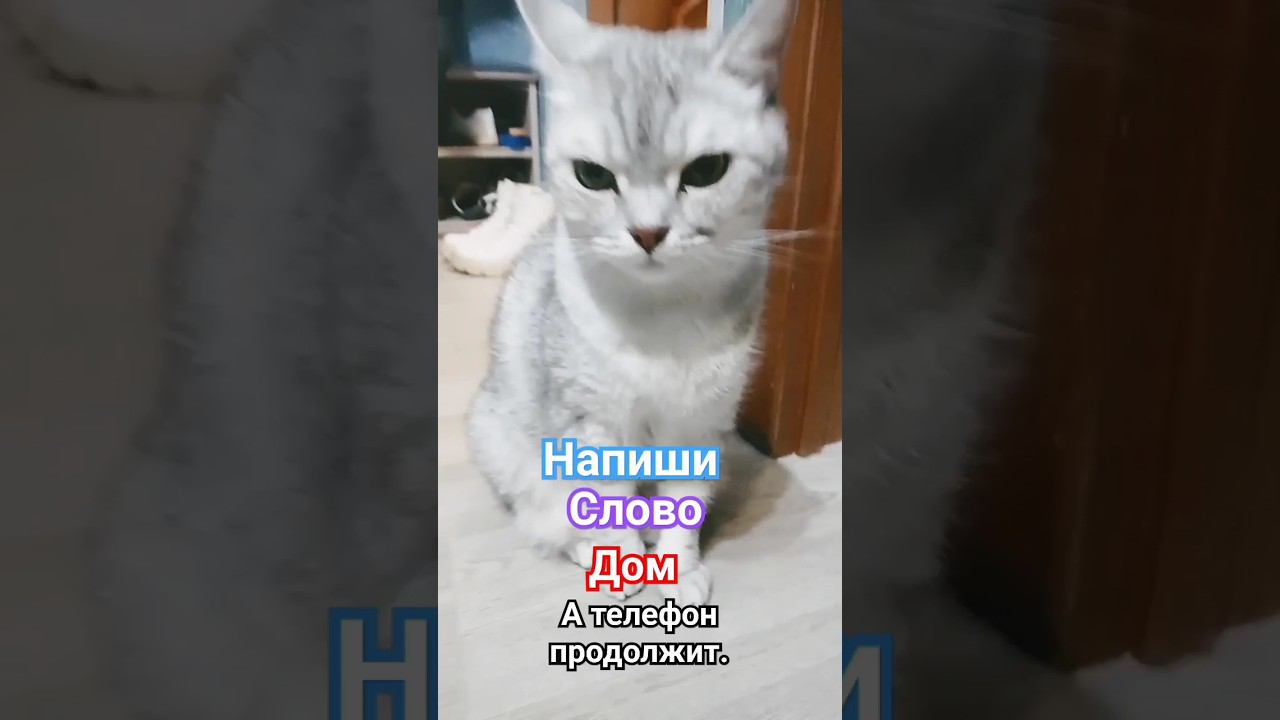 Мемасик из Тик Тока #подборка_приколов #мем #мемы_тикток #meme #tiktok #тик_ток #тикток #мемы #тт1 смотреть онлайн
