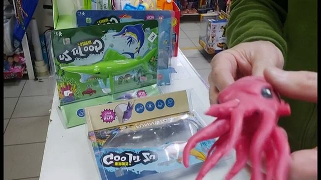 Рop It ;Goojitzu ;FORZUTOS - детские антистресс игрушки ...մանկական հակասթրեսային Խաղալիքներ