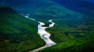 В Югре отмечают Международный день рек