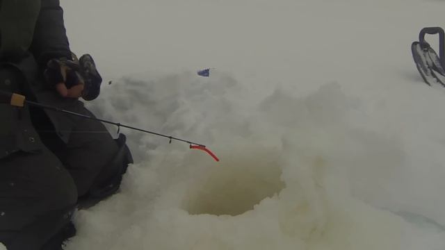 Зимняя рыбалка озеро Лесное Новый Уренгой смотреть онлайн