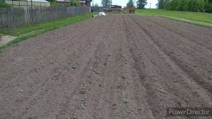 самодельные ежи для прополки картофеля... испытание ?!