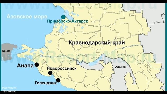 Кинофакты и Теории